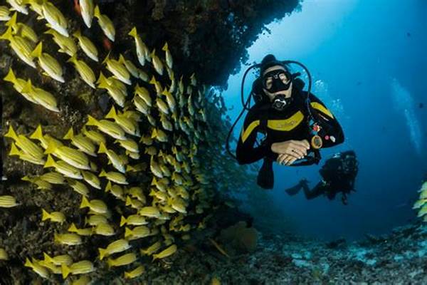 Rekomendasi Scuba Diving Global