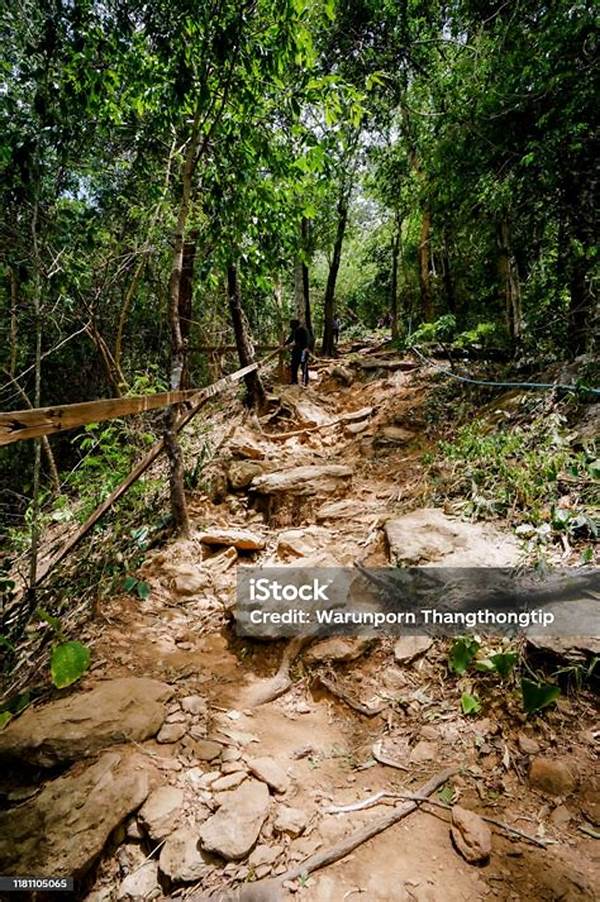 Petualangan Di Hutan Rimbun