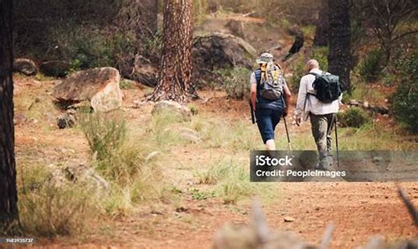 Berpetualang Di Alam Hutan Spektakuler