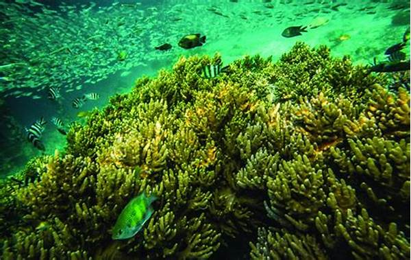 Konservasi Ekosistem Laut Berkelanjutan