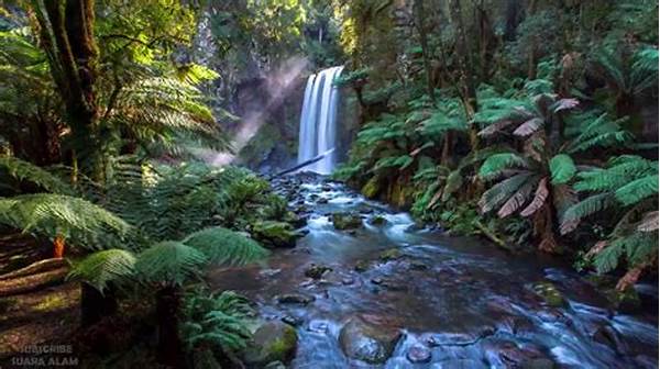 Suara Alam Dan Instrumental Tenang