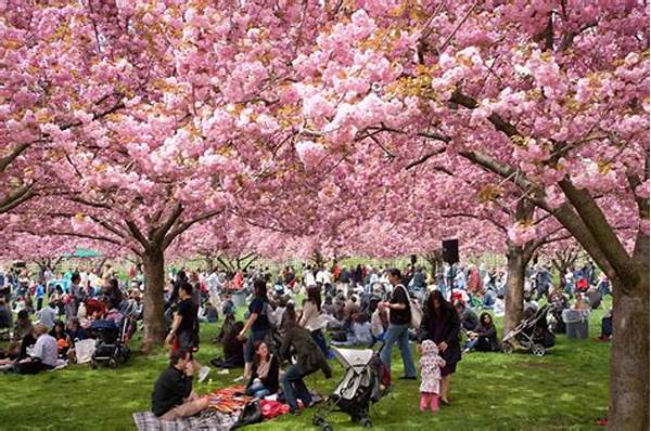 Kebiasaan Masyarakat Jepang Hanami